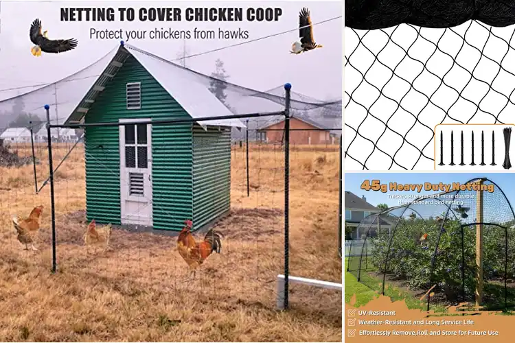 Detailed view of Best Chicken Coop Nettings for Safe Flocks