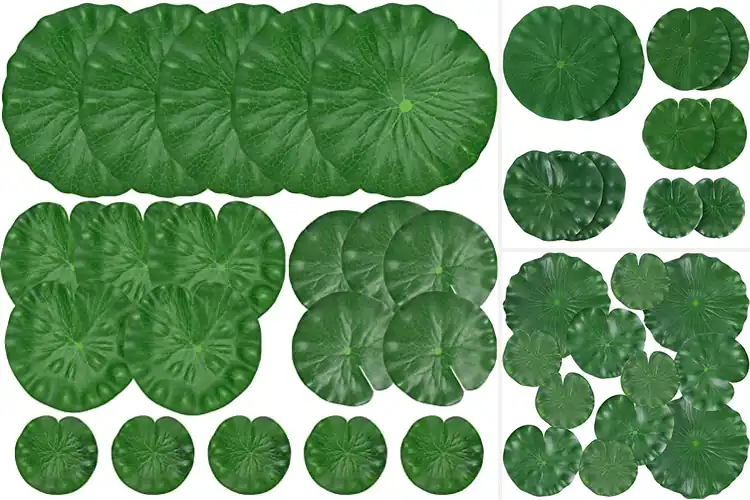 Detailed view of Best Floating Lotus Leaves