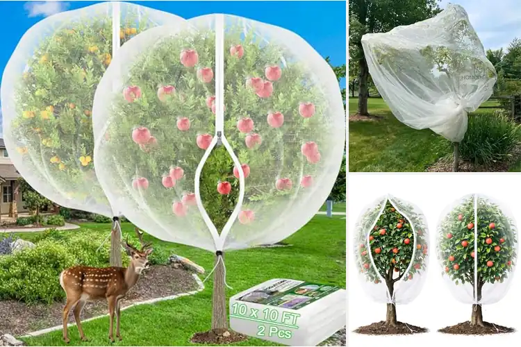 Detailed view of Best Fruit Tree Nettings for a Bountiful Harvest