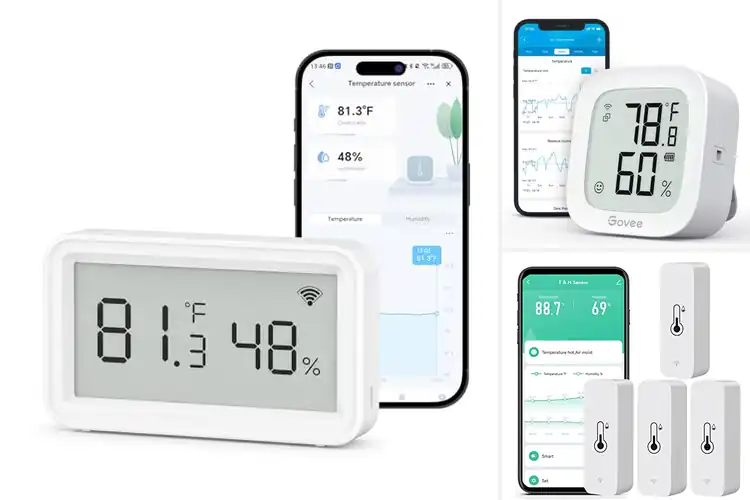 Detailed view of Best WiFi Thermometers: Monitor Temps & Humidity Anywhere